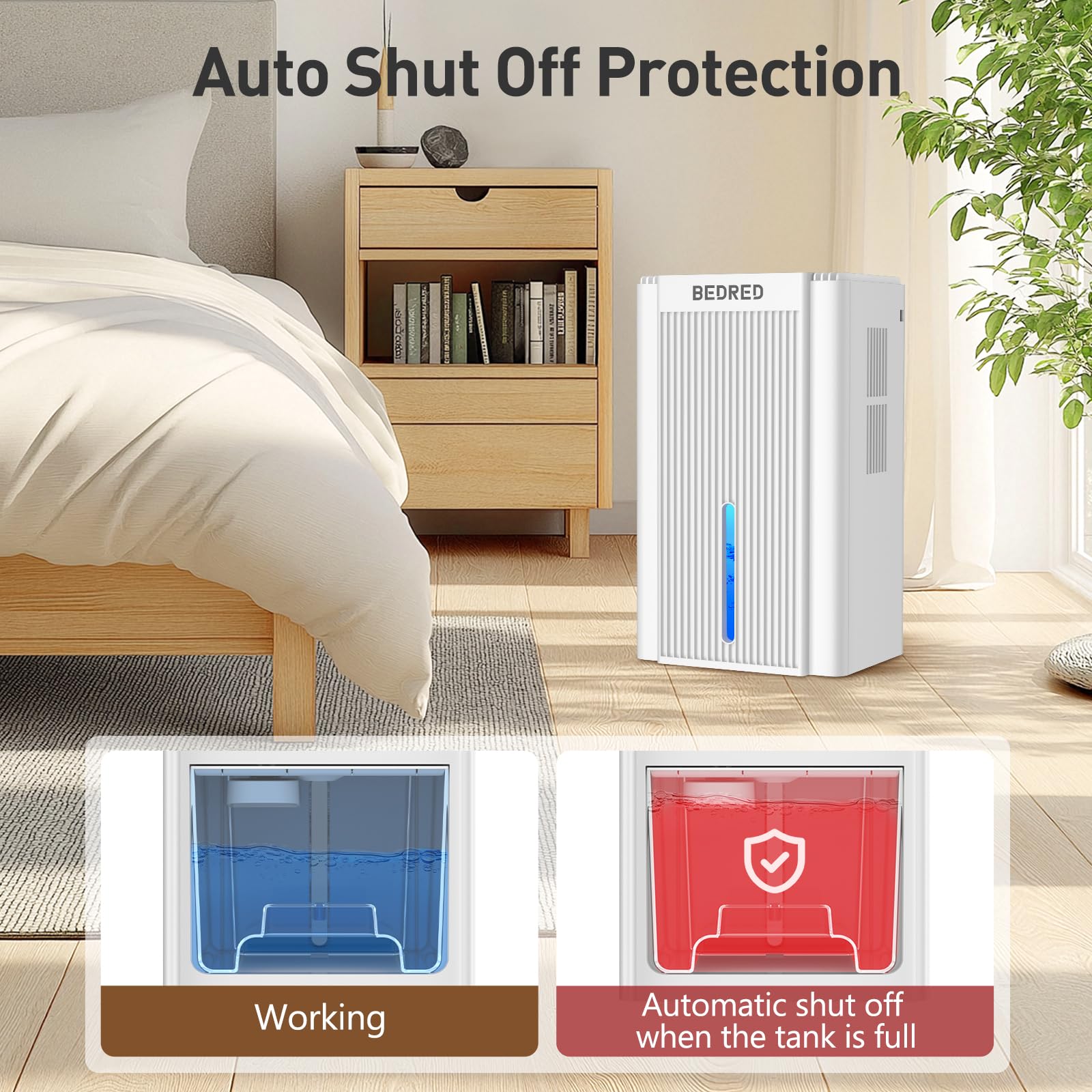 BEDRED 95oz ambient color spectrum creates mood with humidity control.