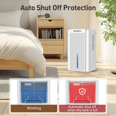 BEDRED 95oz ambient color spectrum creates mood with humidity control.