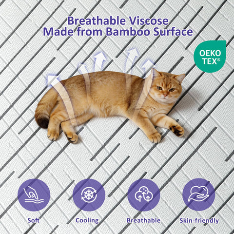 bedsmile non-slip dots with adjustable straps keep topper securely in place.