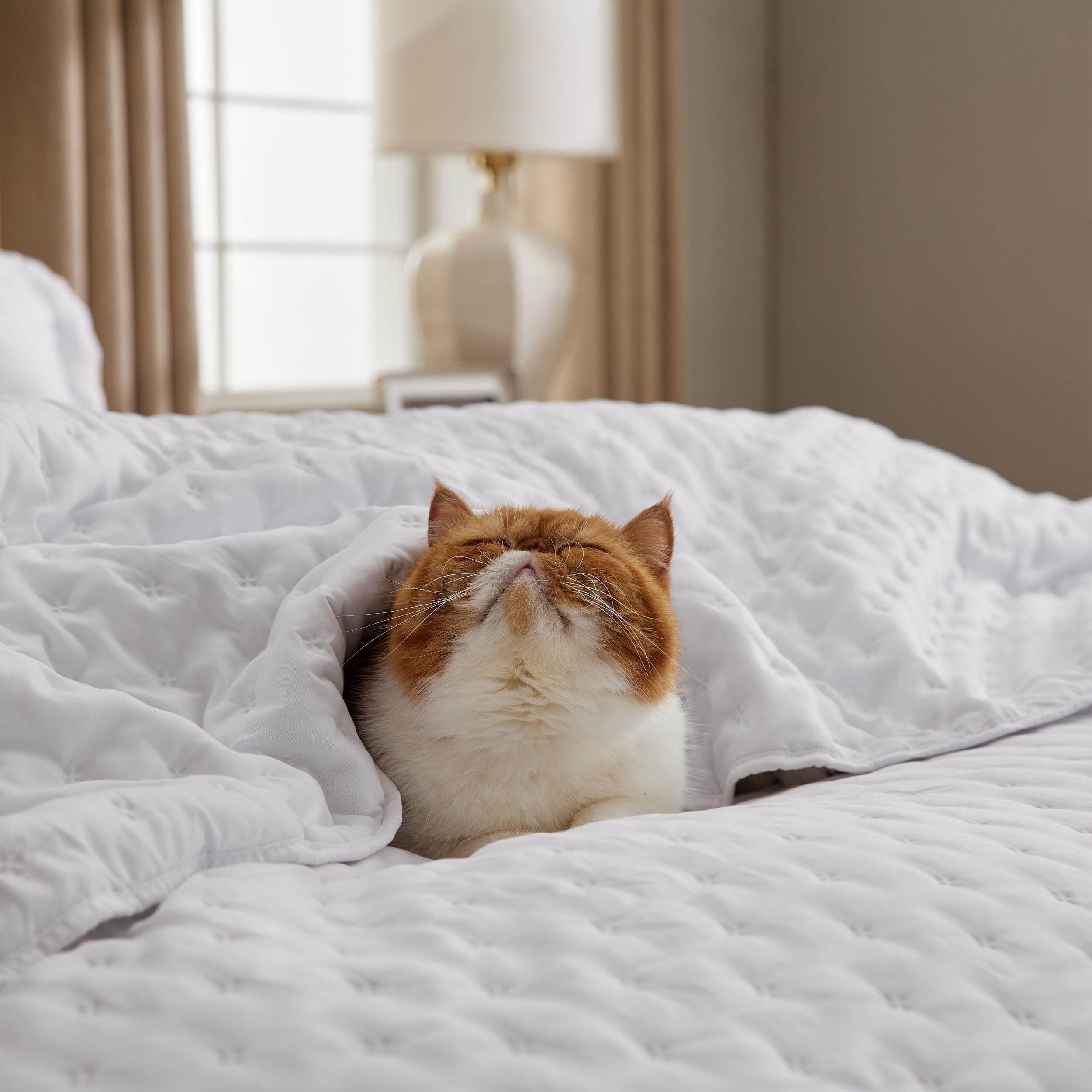 Bedsure California King quilt carries OEKO-TEX label for safety.