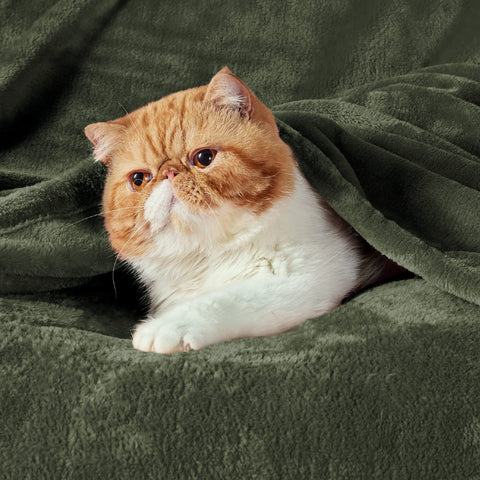 Bedsure fleece blanket olive-green queen-size on bed adds plush warmth.