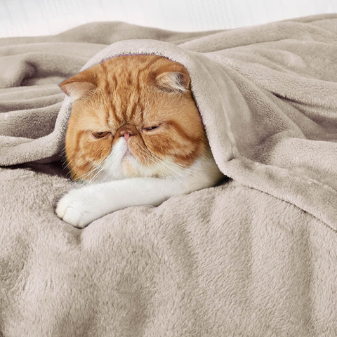 Bedsure GentleSoft folded 90x90 blanket highlights generous size and softness.