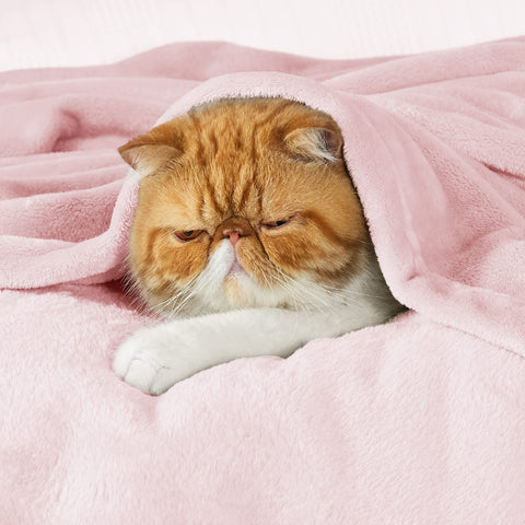 Bedsure GentleSoft pink blanket on bed shows plush softness for restful nights.