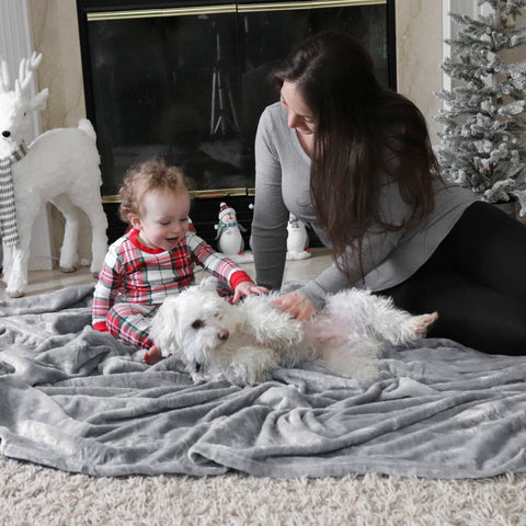 Bedsure GentleSoft fleece blanket perfect for pet cuddling on the couch.