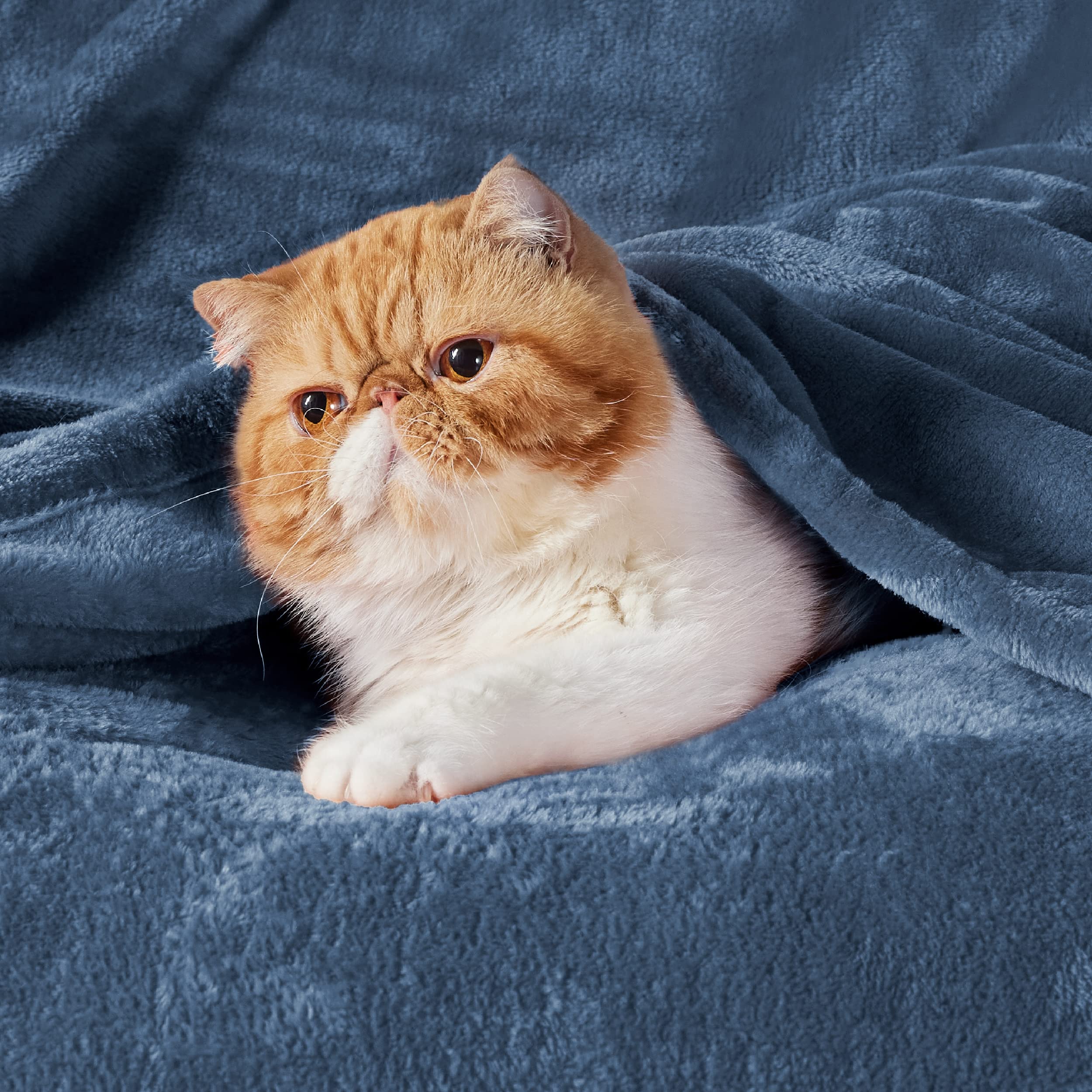 Bedsure GentleSoft blanket on couch shows soft, calming comfort.