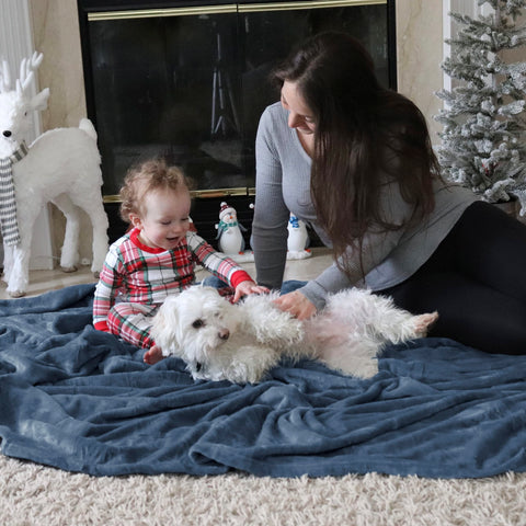 Bedsure GentleSoft blanket in a cozy bedroom scene invites year-round comfort.