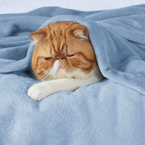 Bedsure GentleSoft fleece blanket on queen bed demonstrates lightweight warmth