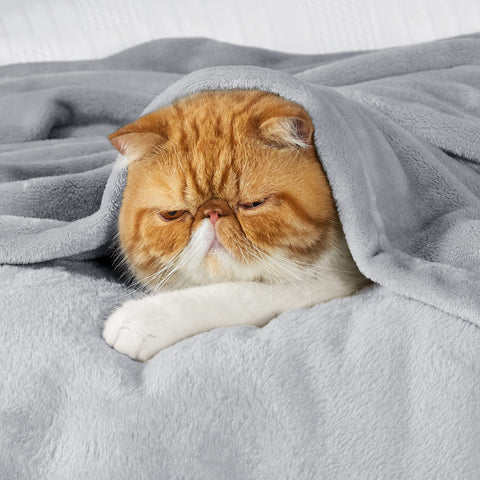 Bedsure GentleSoft fleece blanket in light grey draped over a sofa for cozy lounging.