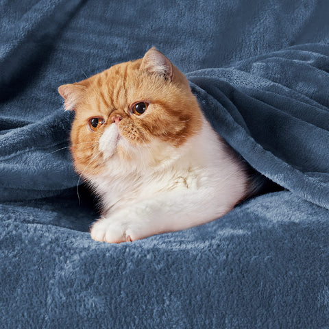 Bedsure GentleSoft fleece blanket on bed provides soft warmth for restful sleep