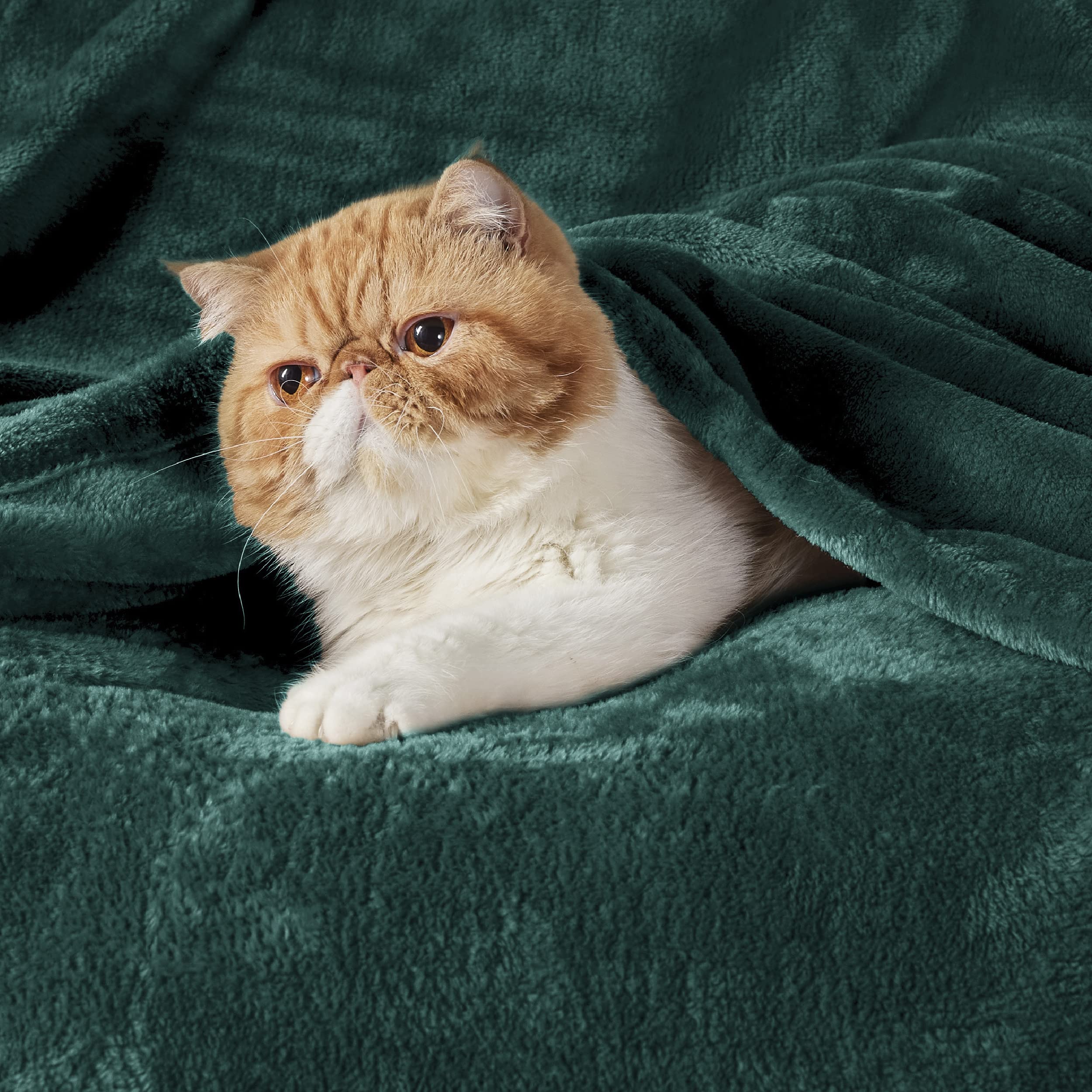 Bedsure GentleSoft fleece blanket on queen bed showing cozy warmth and size