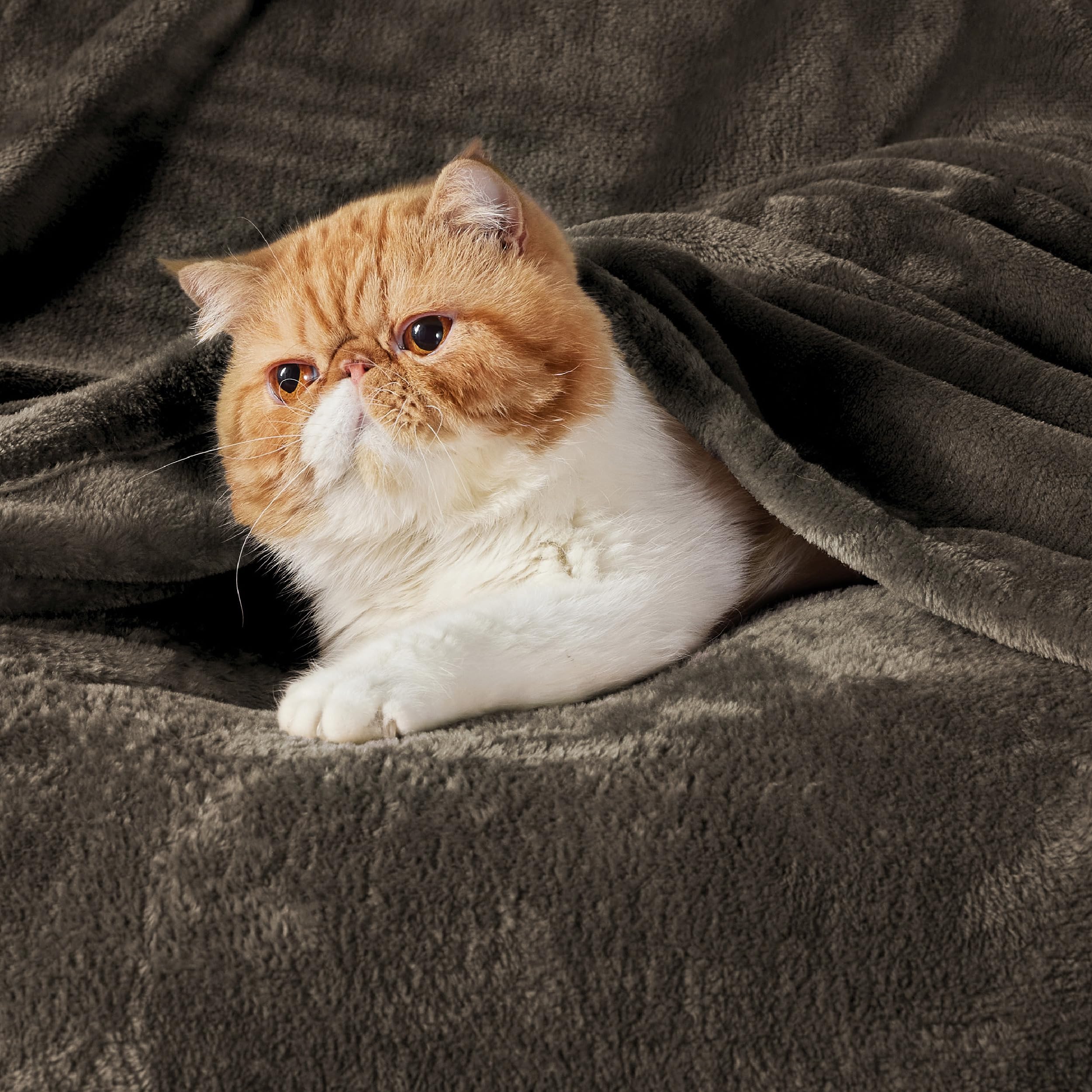 Stitch detail on Bedsure Gentlesoft blanket highlights durable seams for lasting use