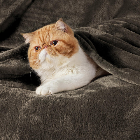 Stitch detail on Bedsure Gentlesoft blanket highlights durable seams for lasting use