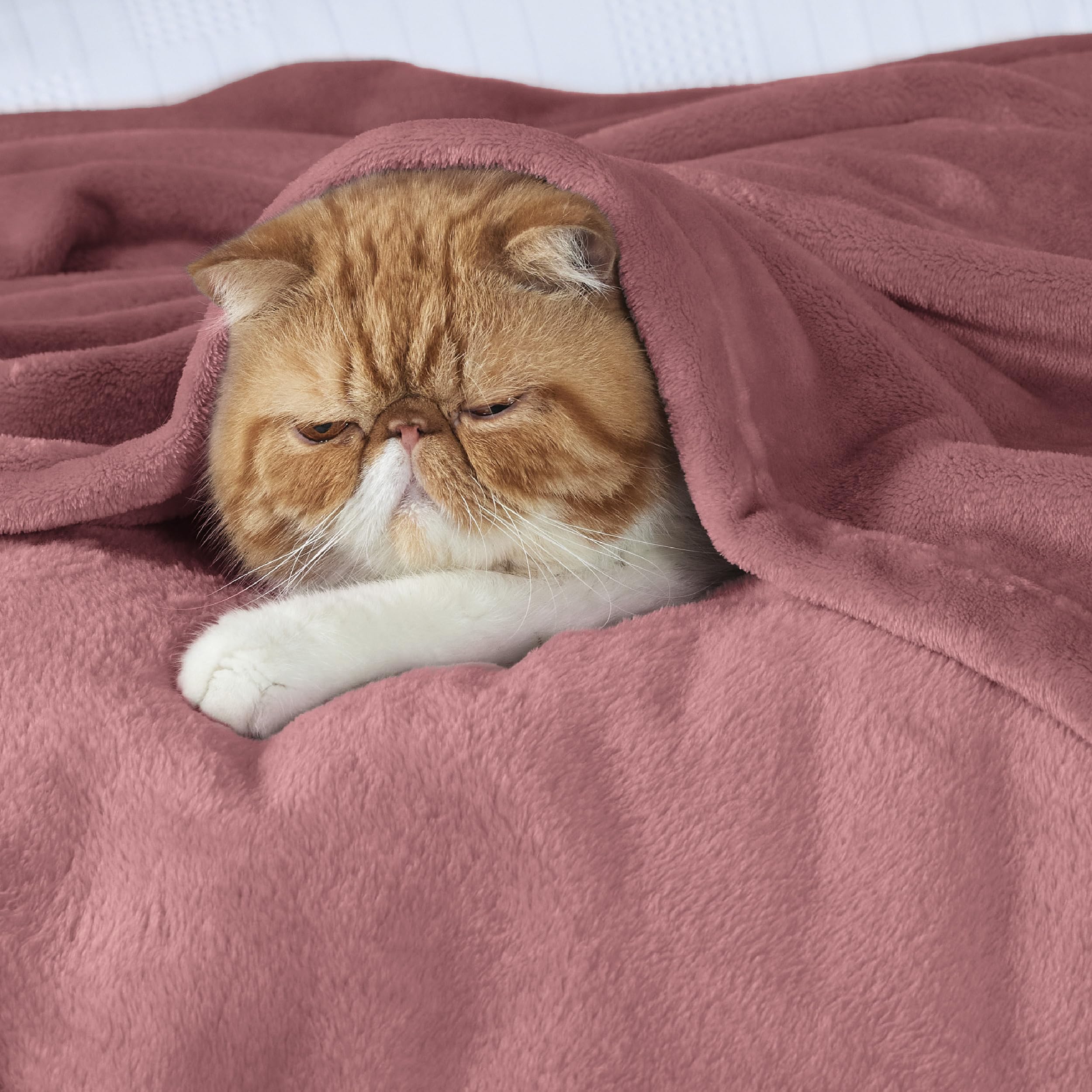 Bedsure GentleSoft fleece blanket on sofa for cozy family lounging.