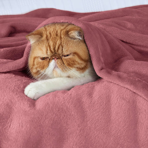 Bedsure GentleSoft fleece blanket on sofa for cozy family lounging.