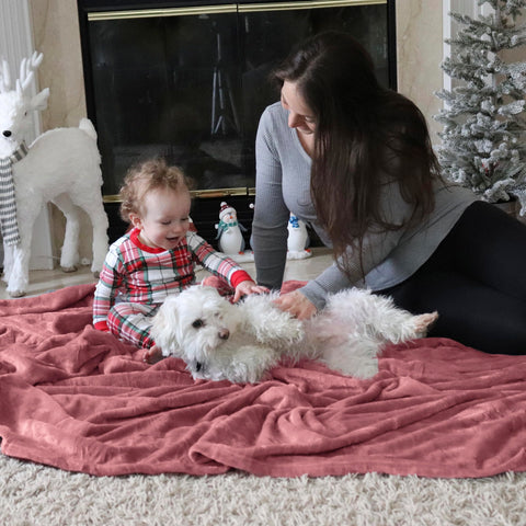 Gift-ready Bedsure GentleSoft fleece blanket packaged for a thoughtful present.