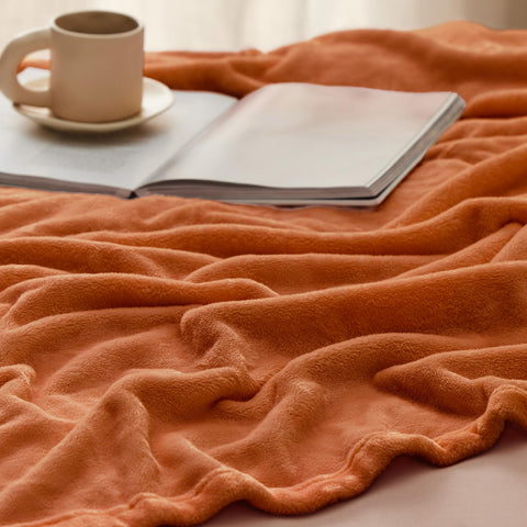 Living room scene with Bedsure GentleSoft blanket on sofa