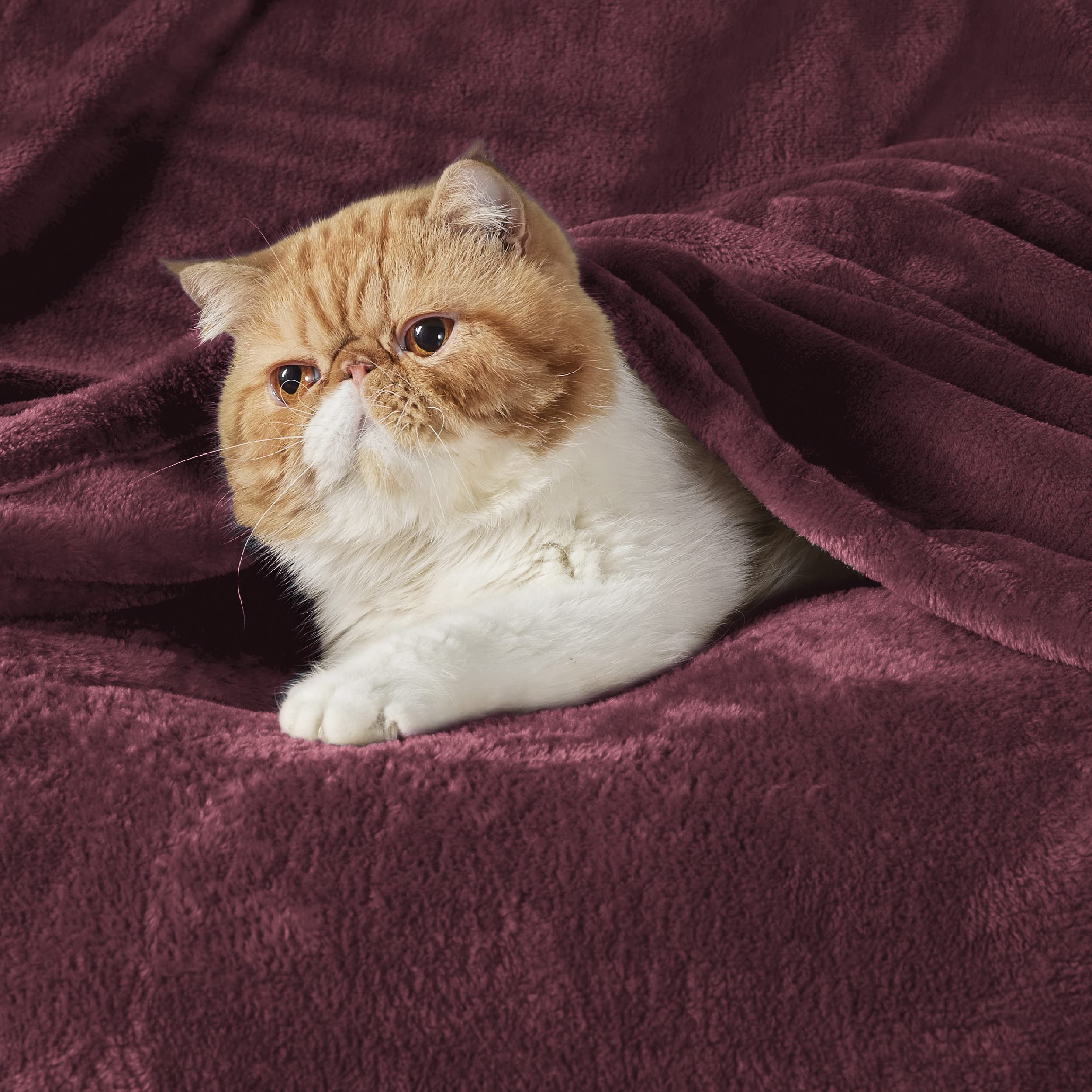 Bedsure GentleSoft blanket folded in burgundy, ideal for gifting.