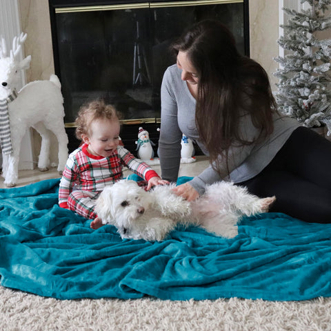 Bedsure GentleSoft fleece blanket teal queen night use for warmth
