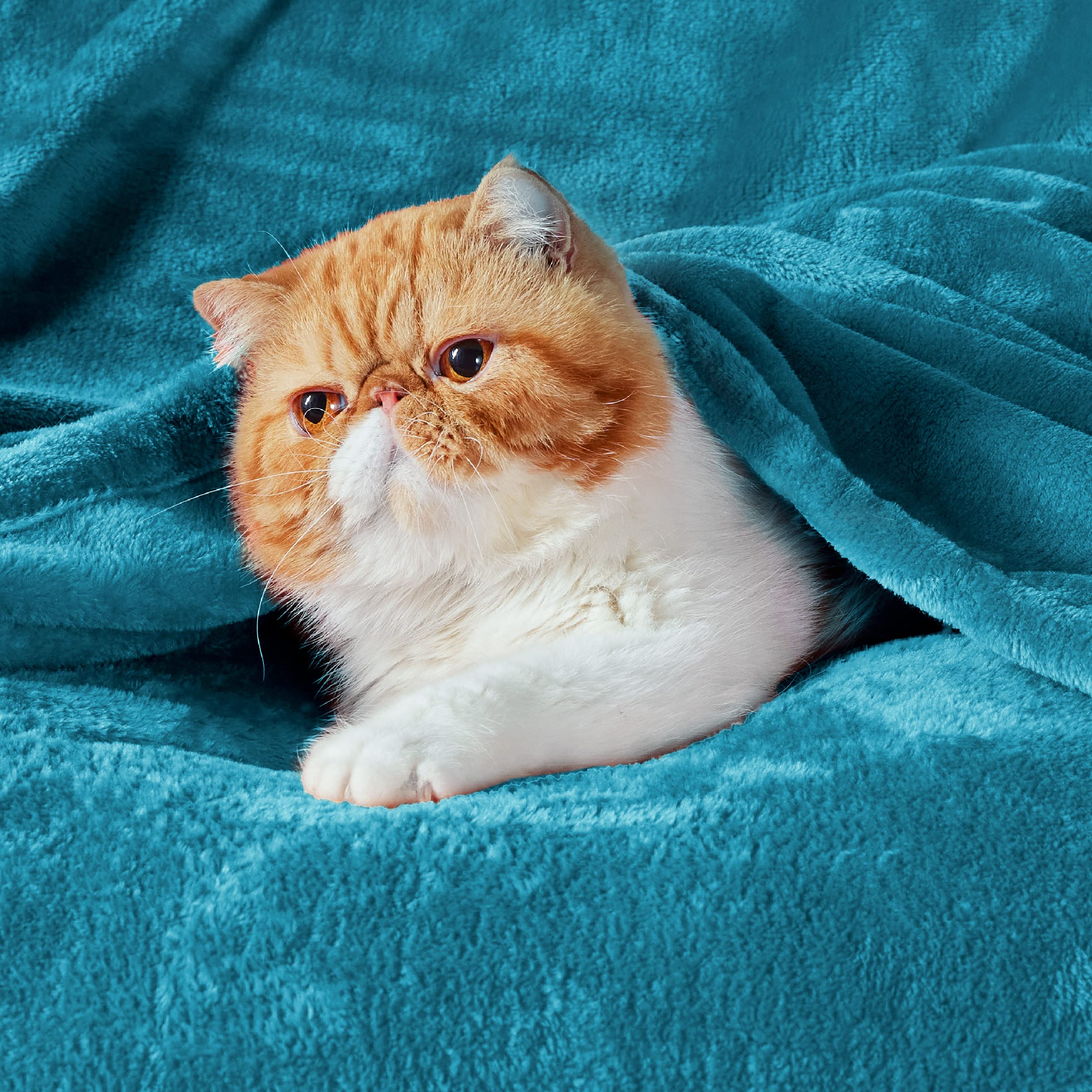 Bedsure GentleSoft fleece blanket teal texture closeup highlights plush microfiber softness