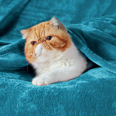 Bedsure GentleSoft fleece blanket teal texture closeup highlights plush microfiber softness