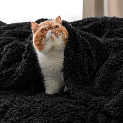Bedsure GentleSoft blanket care label emphasizing easy cold wash and dry.