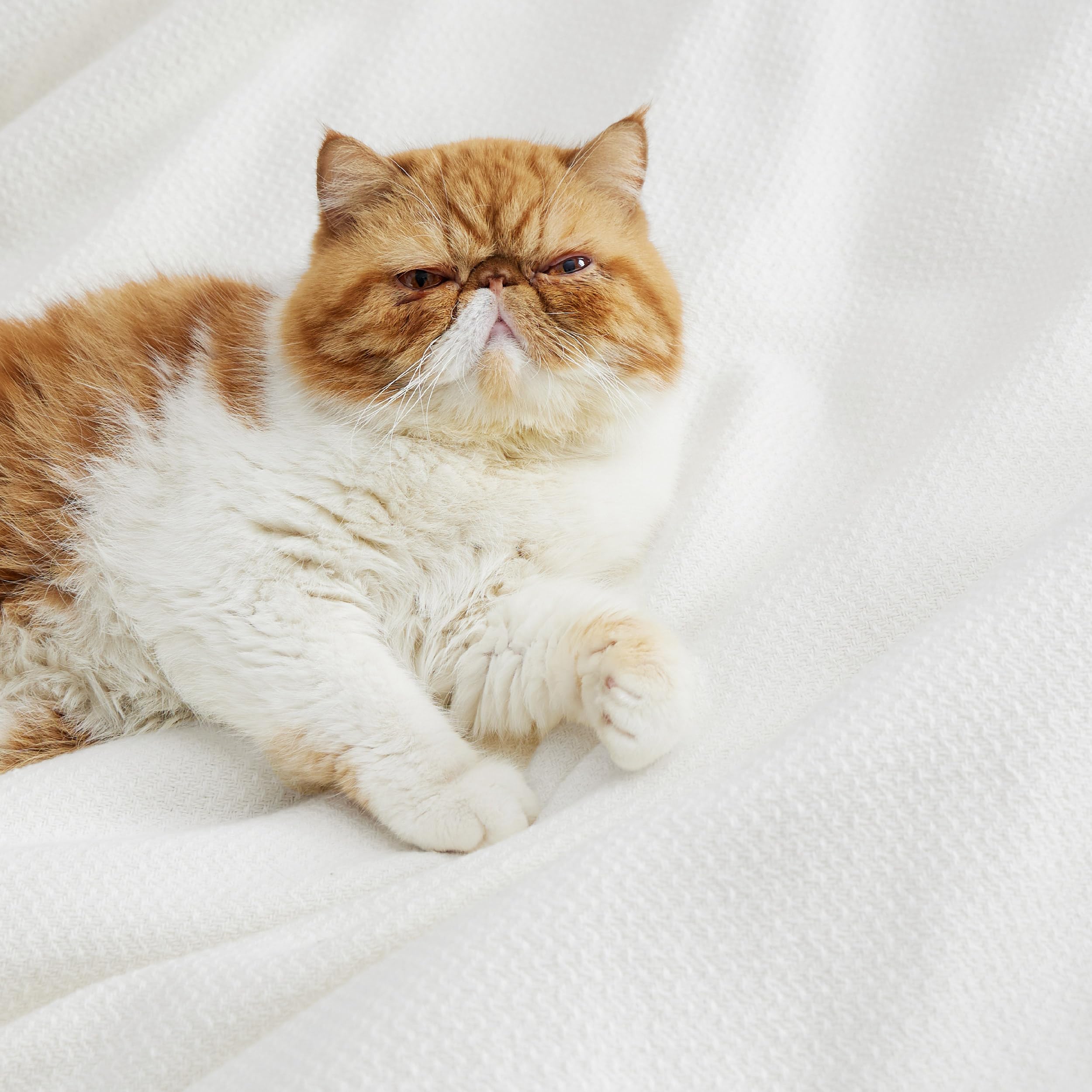 Bedsure GentleSoft king-size blanket provides ample bed coverage.