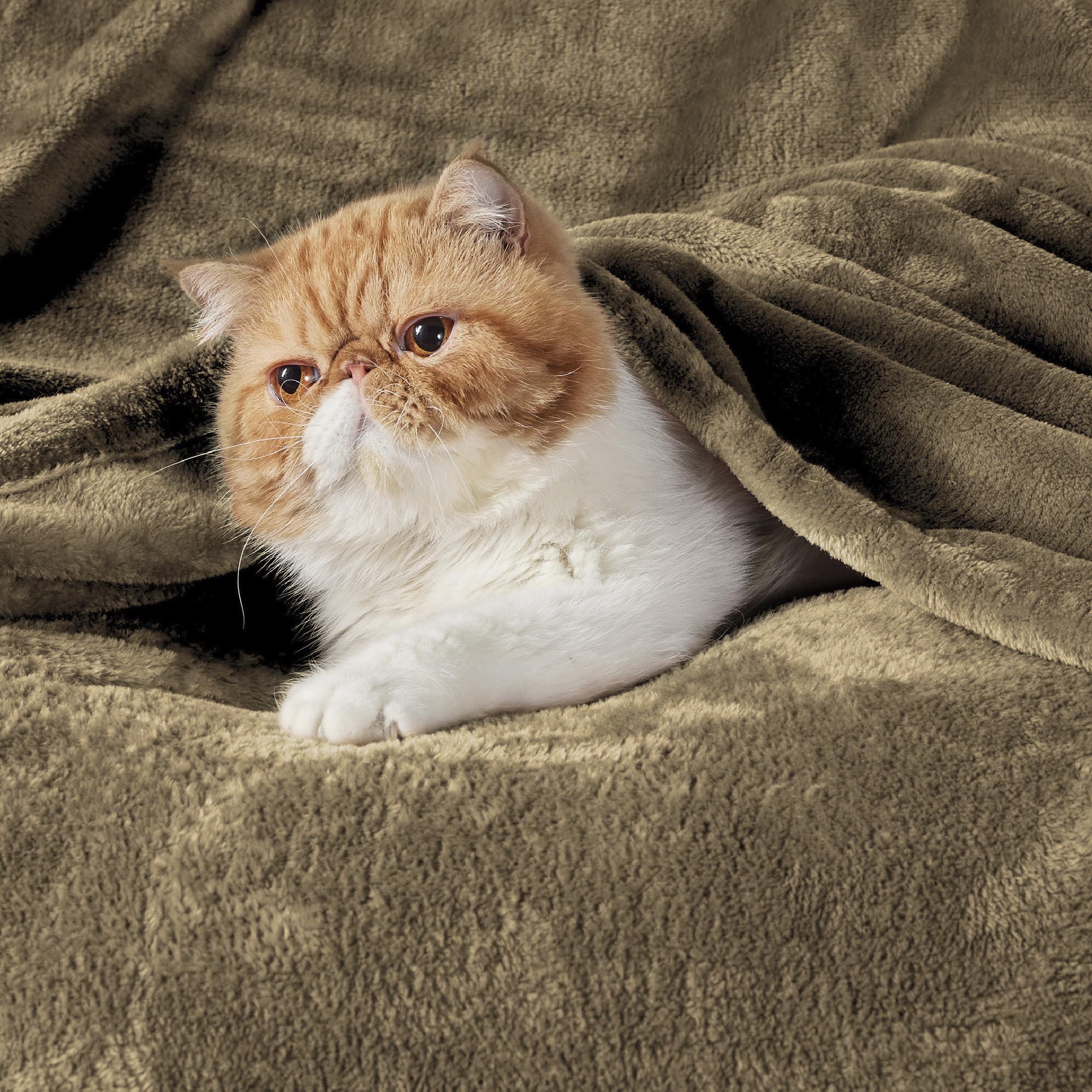 Bedsure GentleSoft microfiber blanket king camel close-up showing soft texture