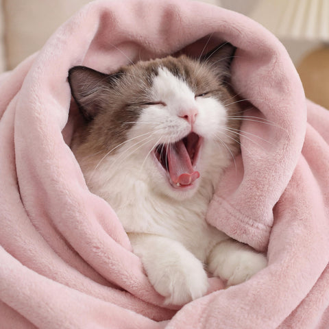 Bedsure GentleSoft pink fleece blanket on bed for soft year-round comfort