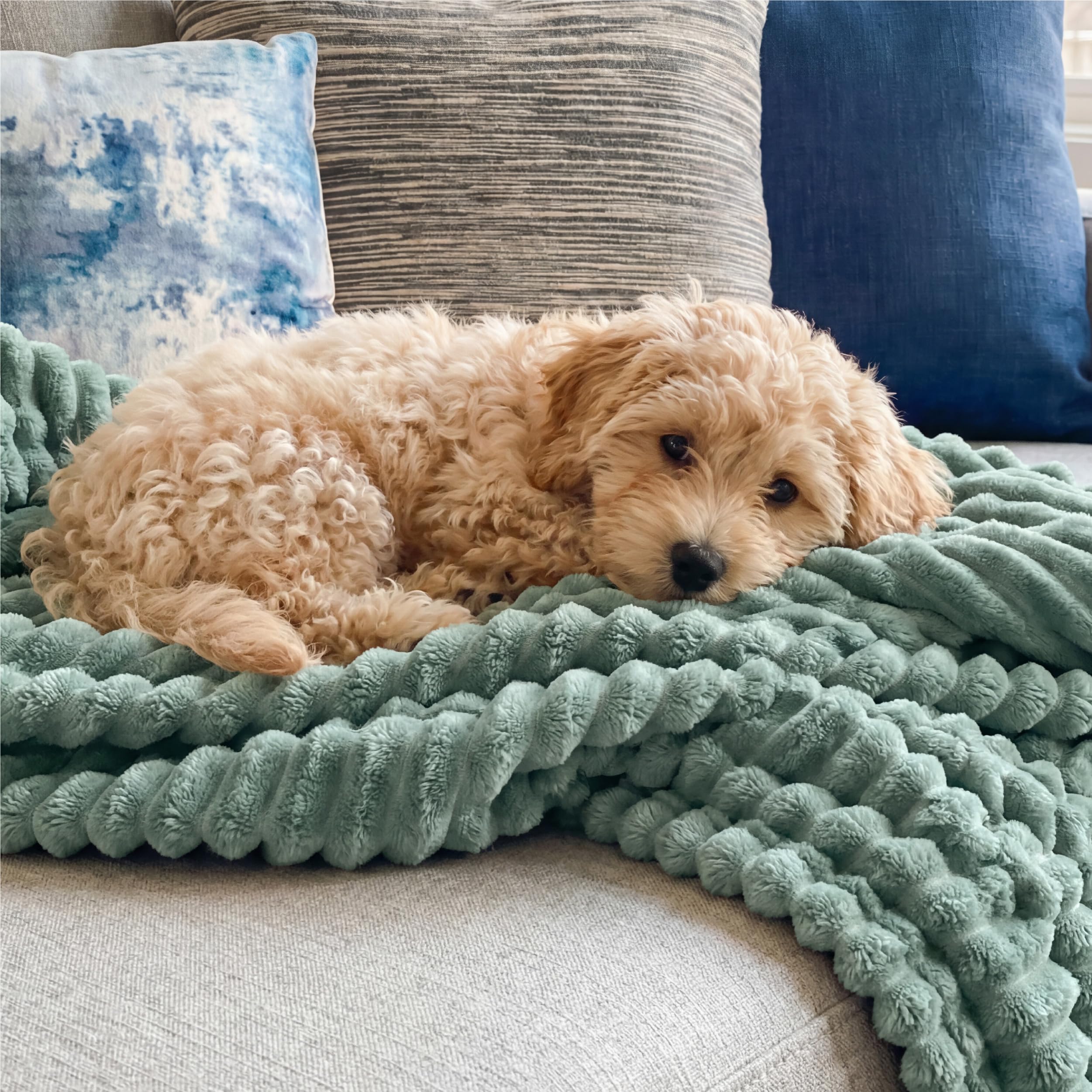 Bedsure GentleSoft sage green throw pairs with green decor in rooms