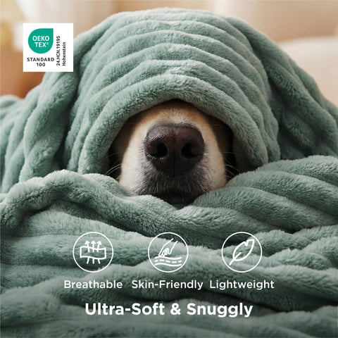 Bedsure GentleSoft sage green throw, lightweight warmth for couch or bed