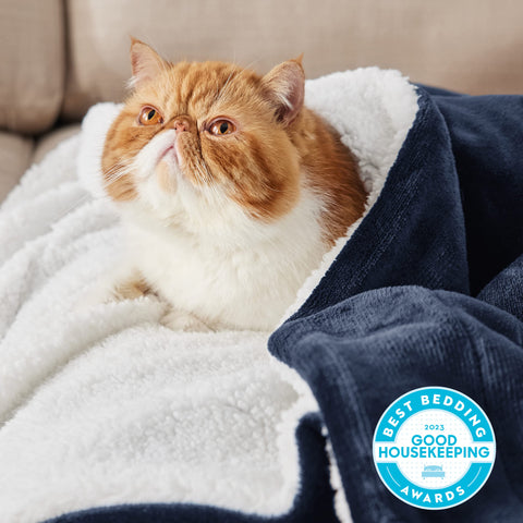 Bedsure GentleSoft Sherpa blanket folded on bed shows dense warmth without heaviness