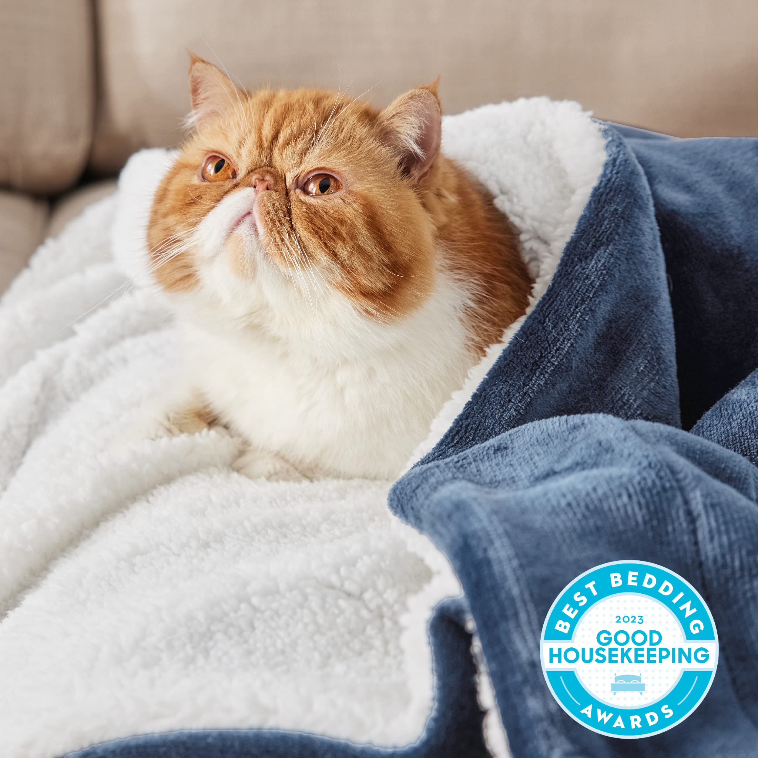 Bedsure GentleSoft Sherpa Throw folded on sofa for cozy snuggles