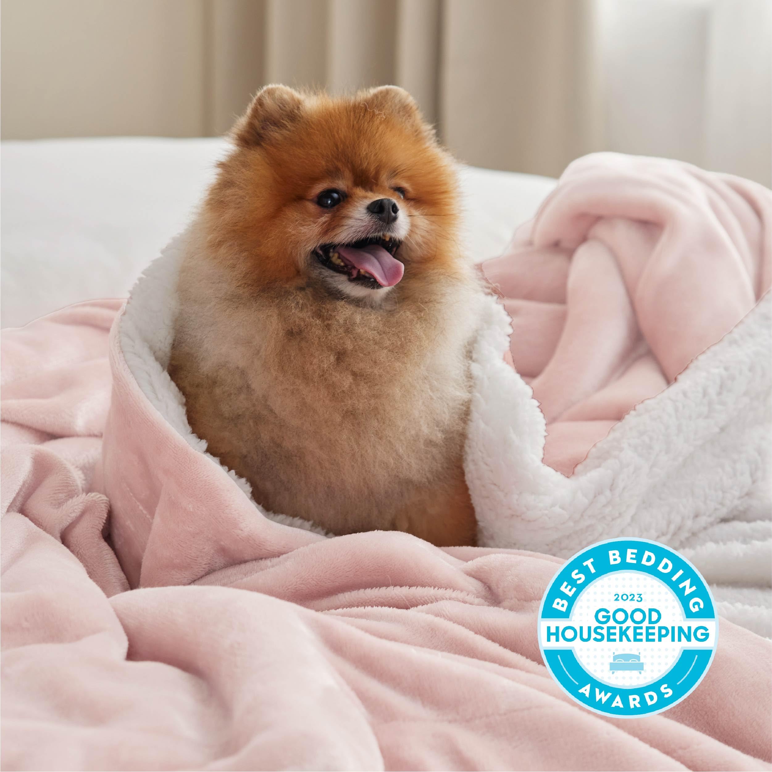 Bedsure GentleSoft Sherpa Throw back close-up showing plush warmth