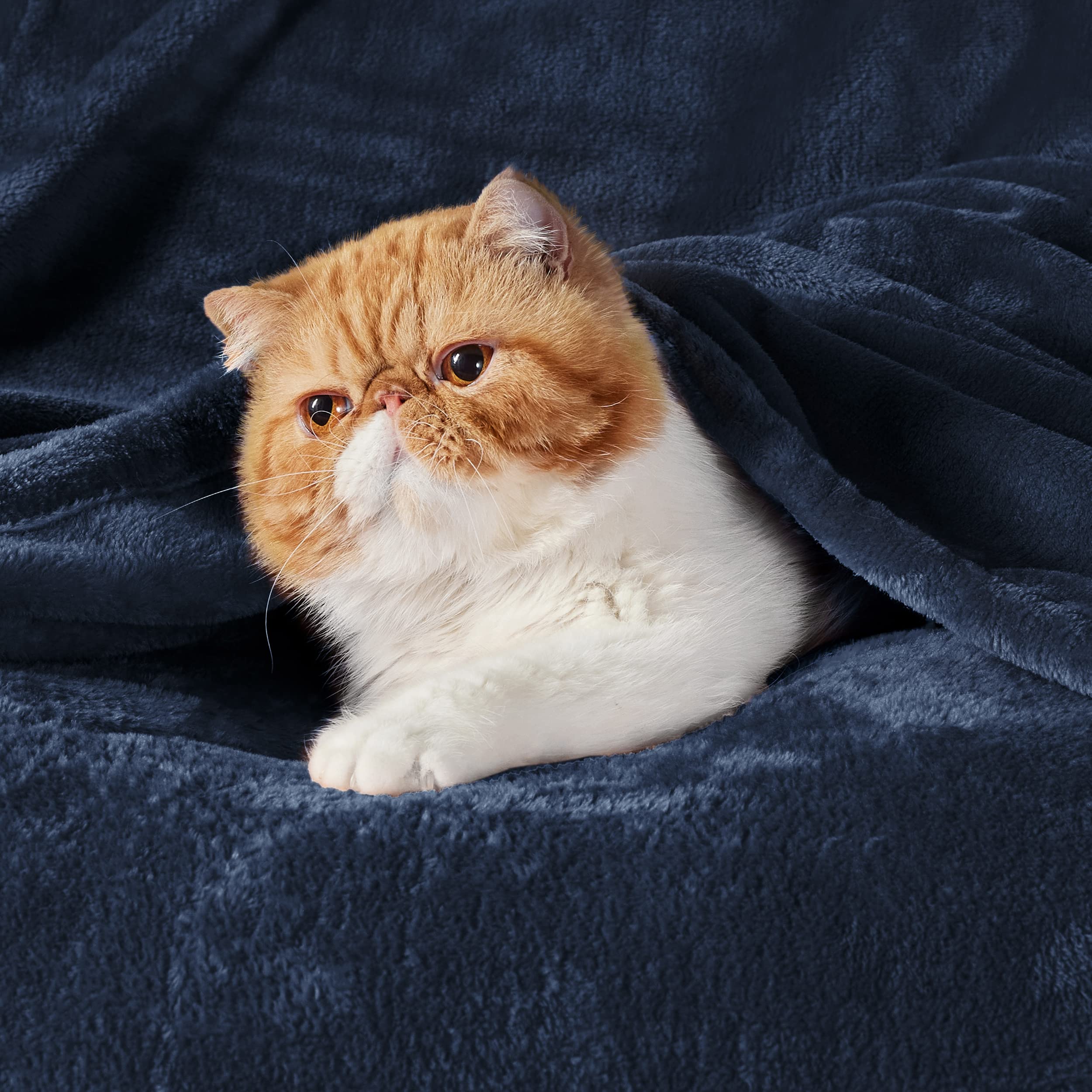 Bedsure GentleSoft throw navy folded display suggesting compact warmth for travel
