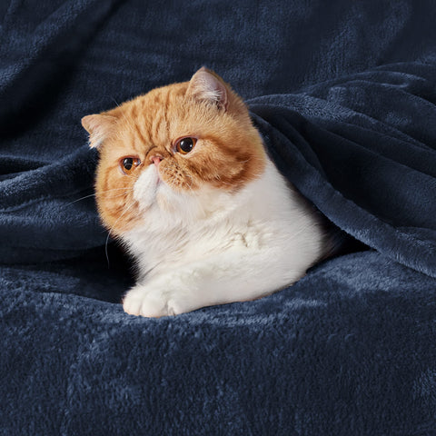 Bedsure GentleSoft throw navy folded display suggesting compact warmth for travel