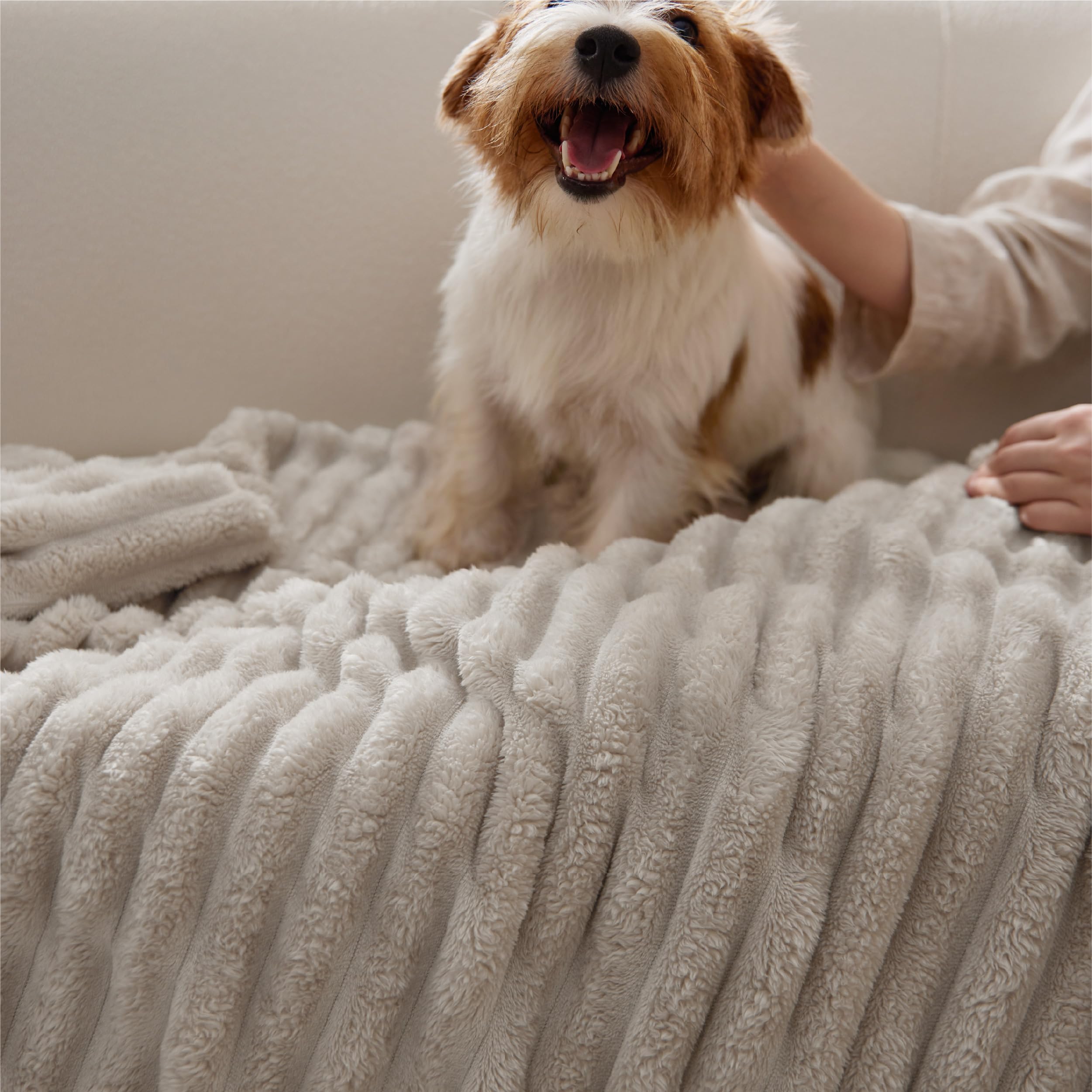 Care instructions for Bedsure GentleSoft blanket showing machine wash.