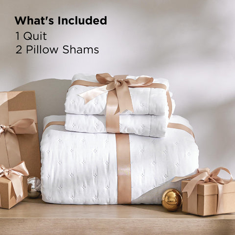 Bedsure pet-friendly coverlet ideal for a cozy, protected bed area