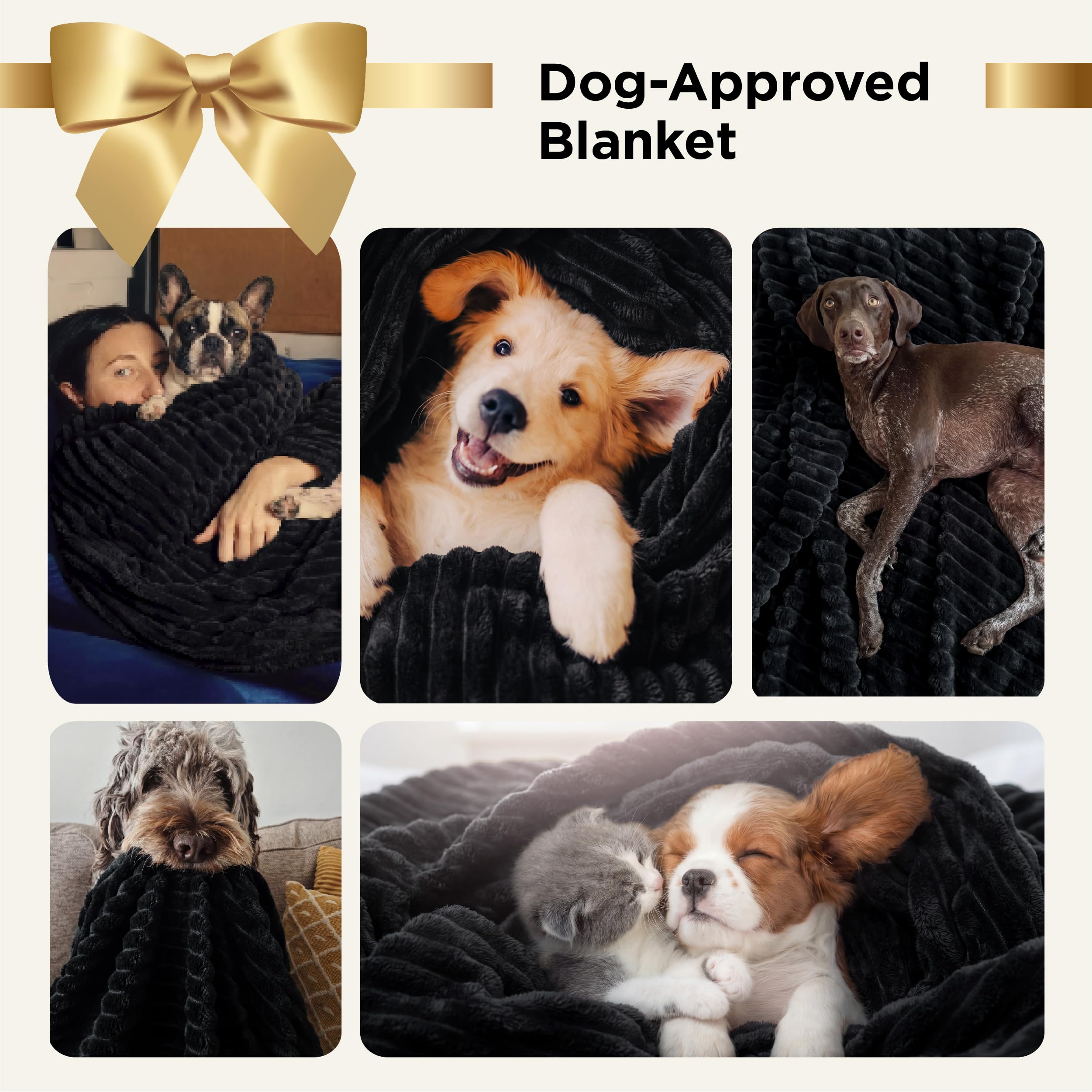 Bedsure lightweight twin blanket ideal for study sessions and late-night lounging.