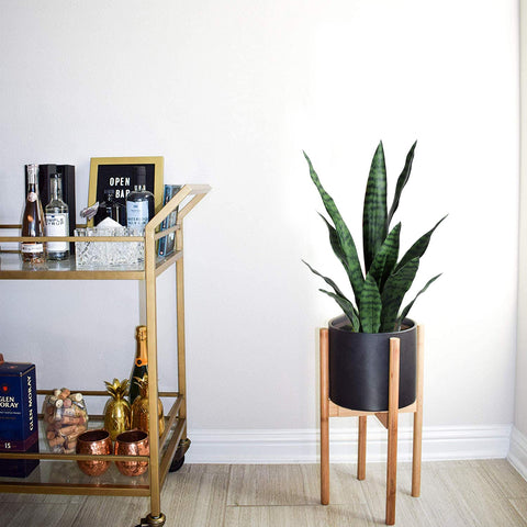 Beebel 22-inch artificial snake plant offers lifelike form for living rooms and offices