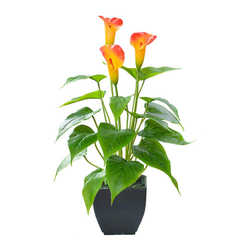 Beebel calla lily faux small potted plant orange in black pot for home décor