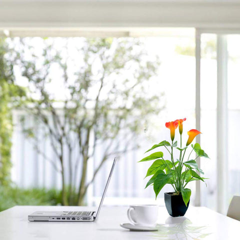 Beebel orange calla lily artificial plant for warm, vibrant home or office ambiance