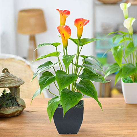 Beebel silk-leaf calla lily 15inch arrangement enhances entryways and tabletops