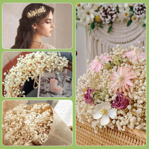 Beerfingo dried baby's breath for wreath crafts and rustic décor.