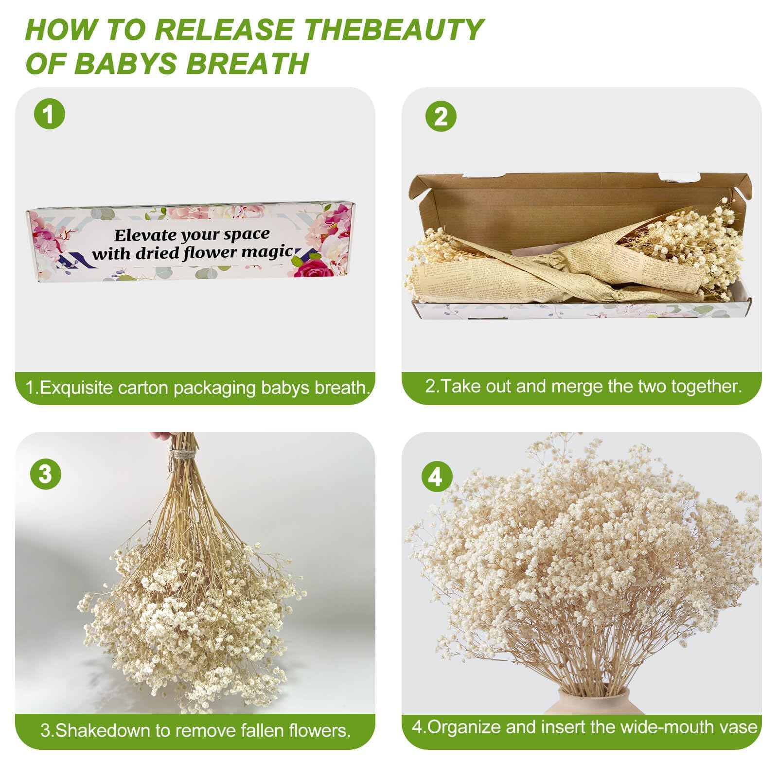 Beerfingo natural dried baby's breath for timeless home decor.