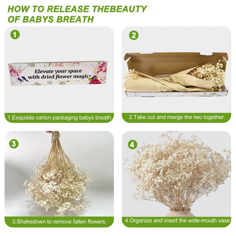 Beerfingo natural dried baby's breath for timeless home decor.