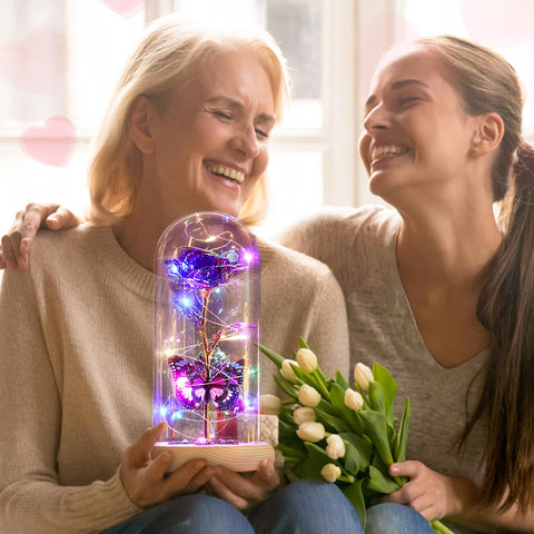 Beferr Warm White LED Rose Light delivers cozy ambience for any room.