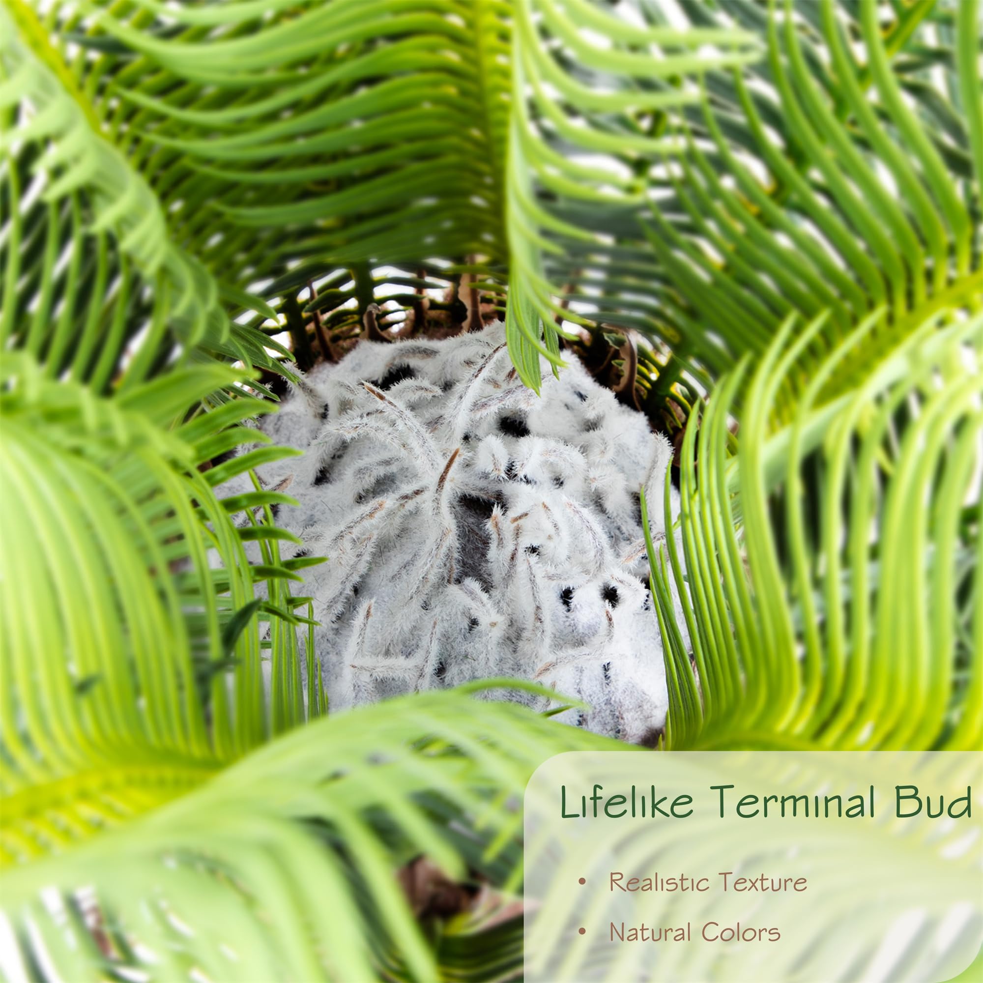 Bellacat 4ft sago palm trunk texture shows natural bark detail.