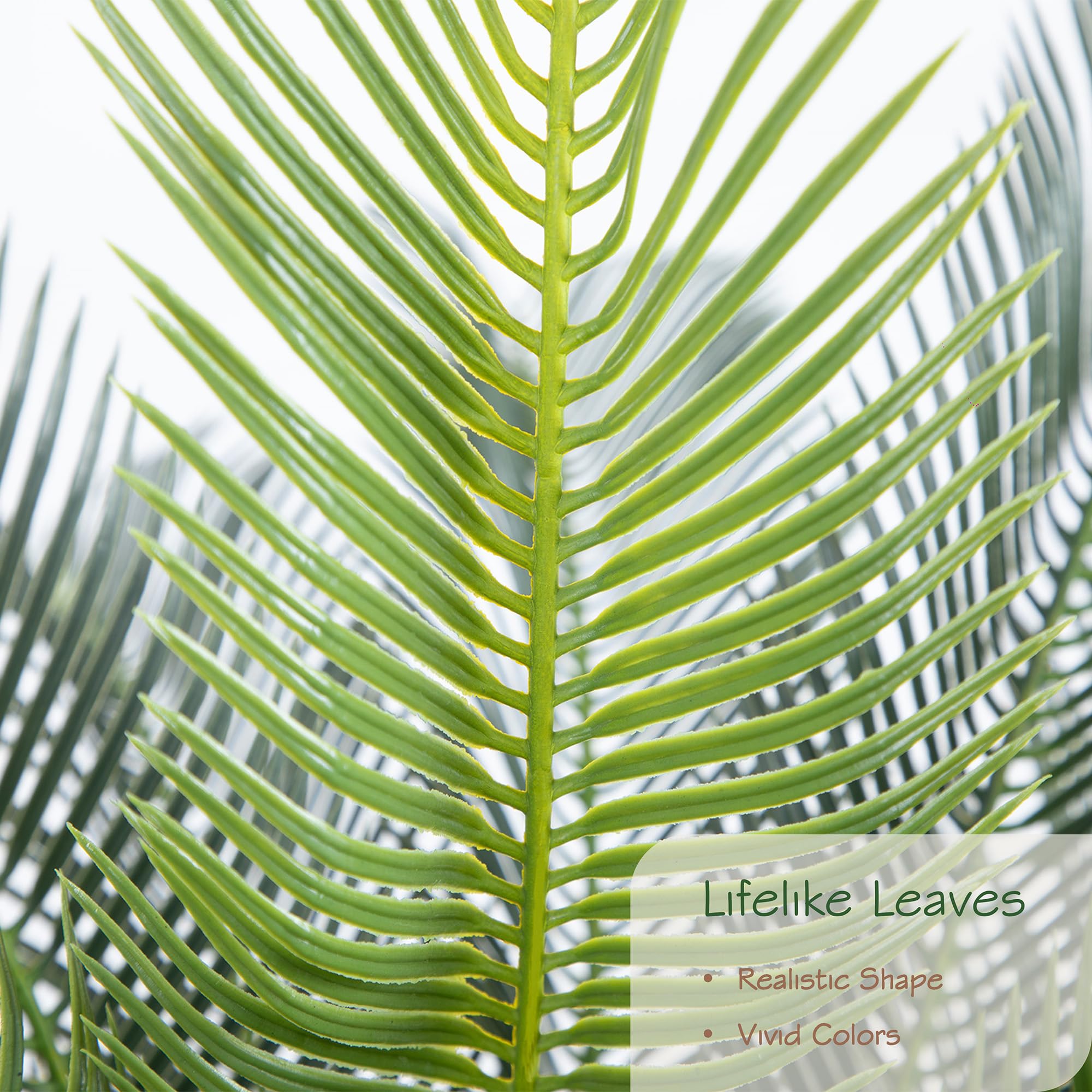 Bellacat cycad tree full leaves detail enhances indoor realism