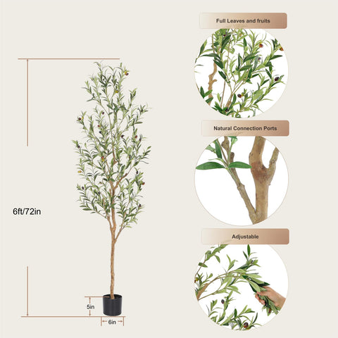 Bellacat olive tree features easy assembly for flexible room setup.