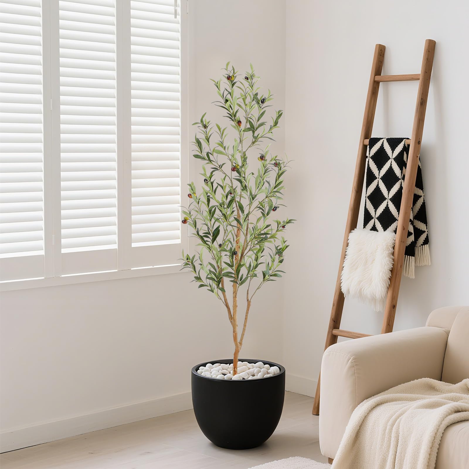 Bellacat olive tree in an indoor decor setting for living rooms or offices